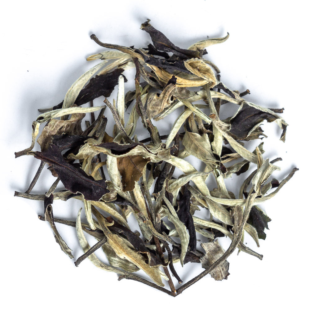 WHITE TEA #4