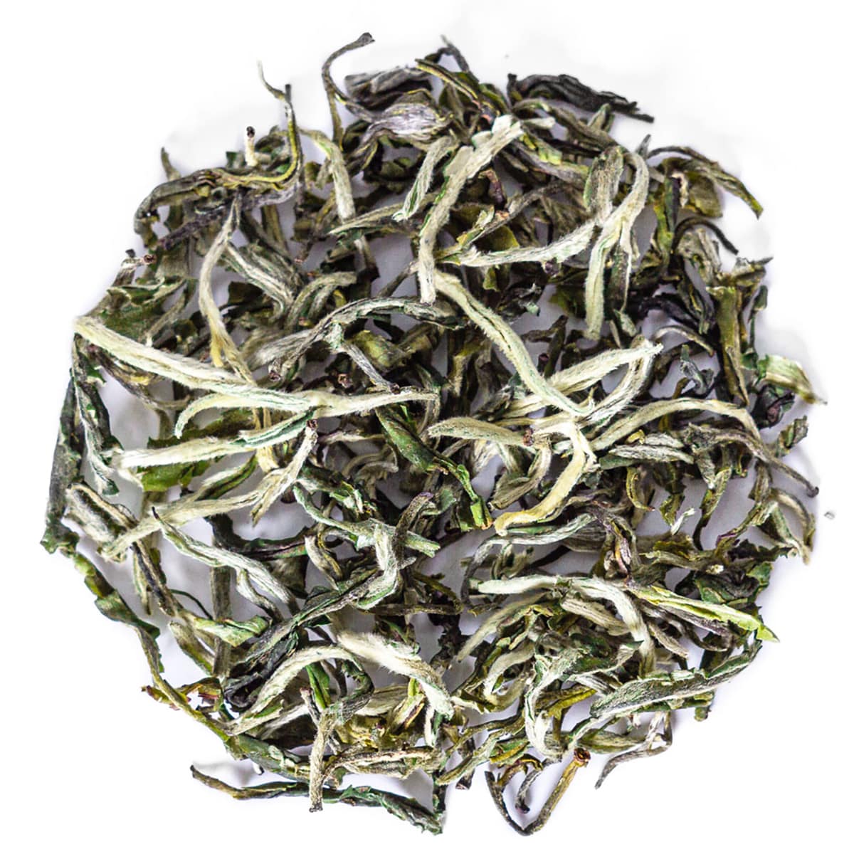 GREEN TEA #9