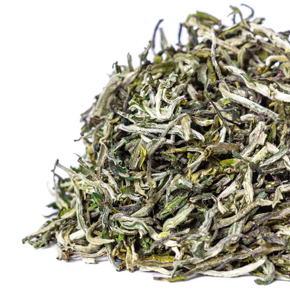 GREEN TEA #9