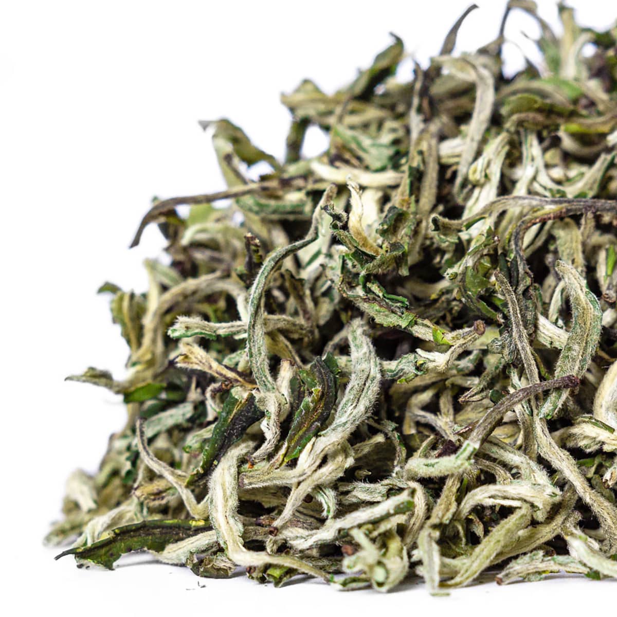 GREEN TEA #11