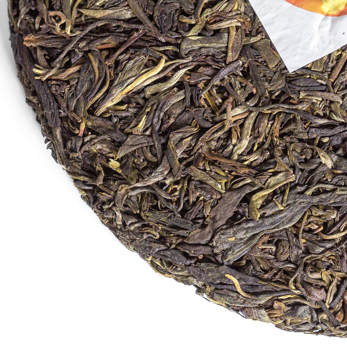 SHENG PU-ERH #10