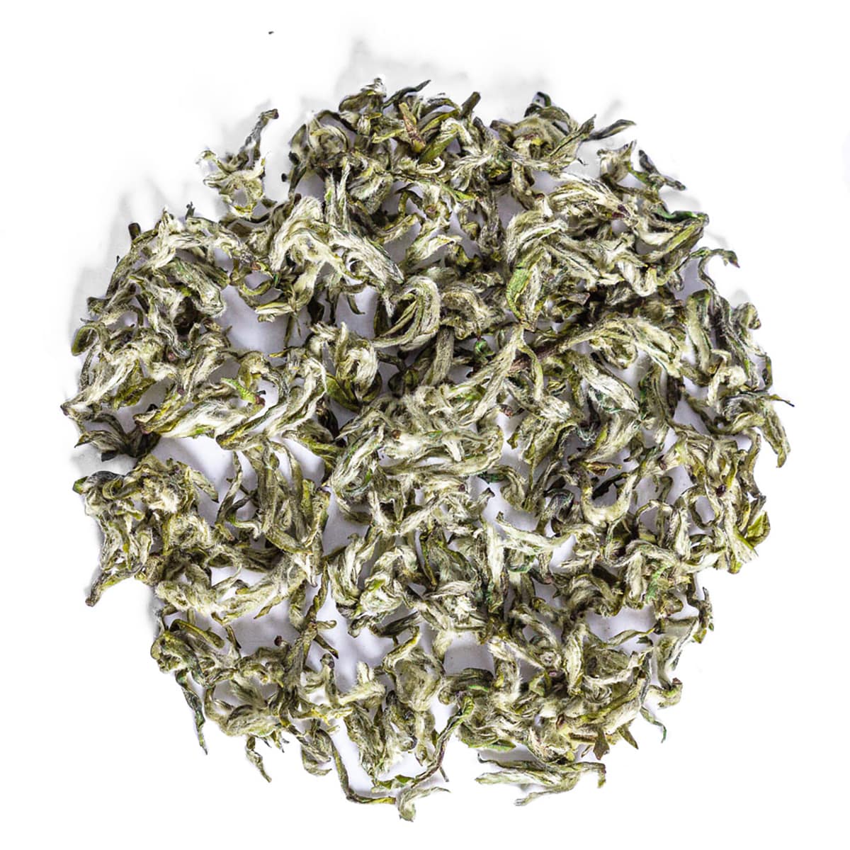 GREEN TEA #6